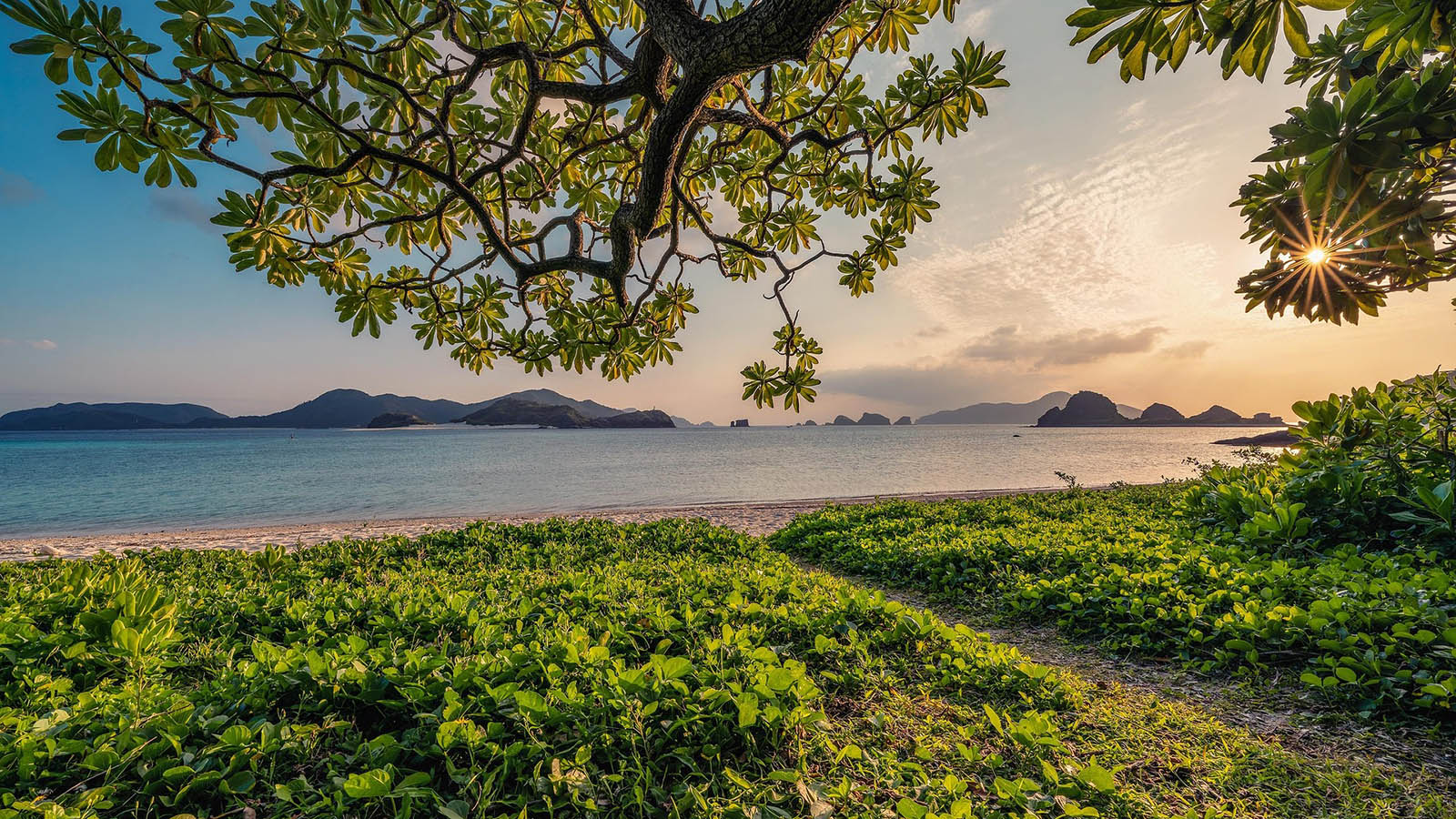 Clima subtropical